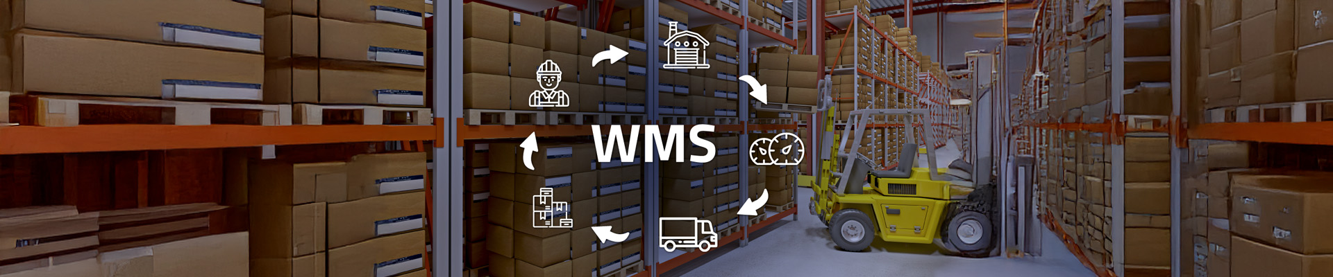 WMS na prática: sistema de gerenciamento de armazém que reduz custos logísticos